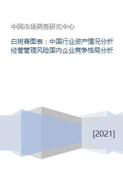 白斑膏图表 中国行业资产情况分析经营管理风险国内企业竞争格局分析